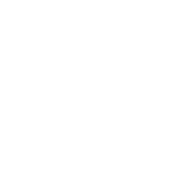 LinkedIn Icon.